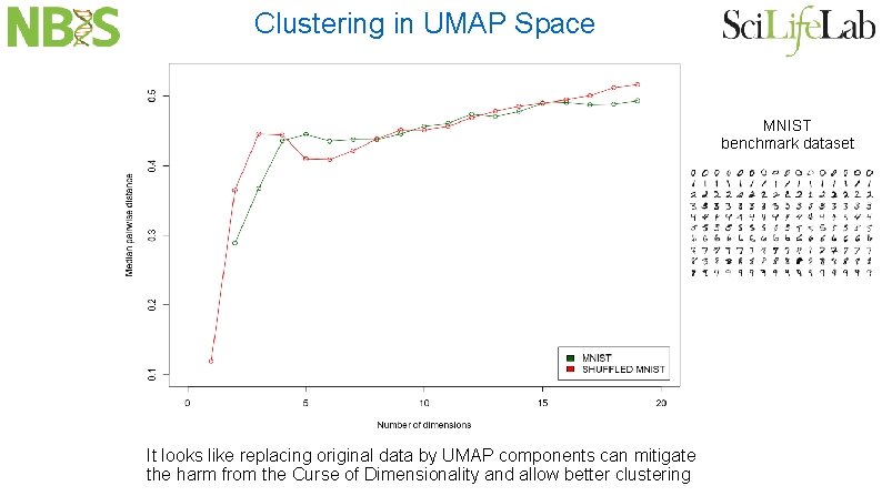 Clustering in UMAP Space MNIST benchmark dataset It looks like replacing original data by