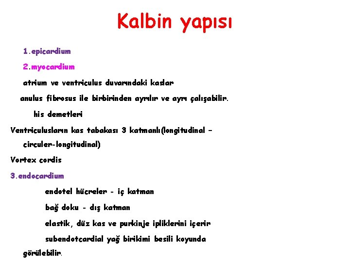 Kalbin yapısı 1. epicardium 2. myocardium atrium ve ventriculus duvarındaki kaslar anulus fibrosus ile