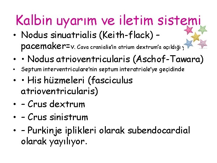 Kalbin uyarım ve iletim sistemi • Nodus sinuatrialis (Keith-flack) – pacemaker=v. Cava cranialis’in atrium