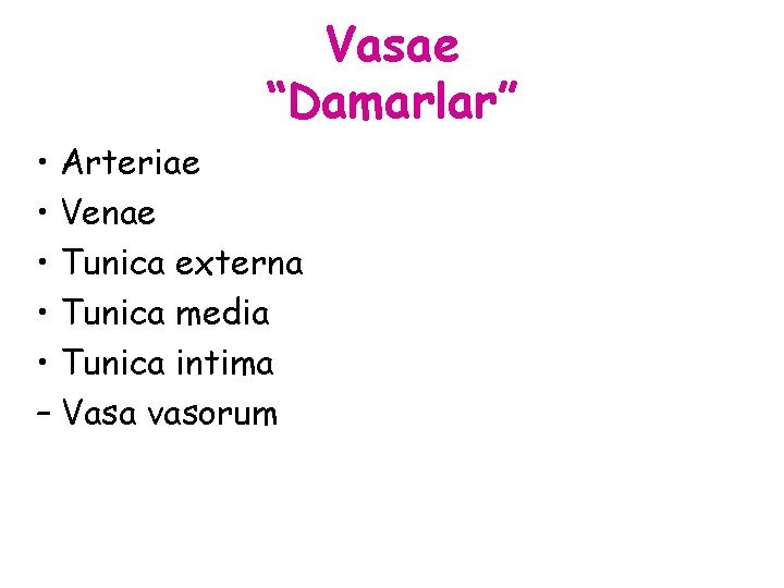 Vasae “Damarlar” • Arteriae • Venae • Tunica externa • Tunica media • Tunica