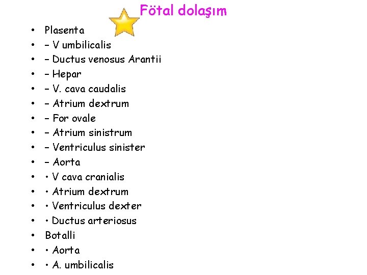 Fötal dolaşım • • • • • Plasenta – V umbilicalis – Ductus venosus