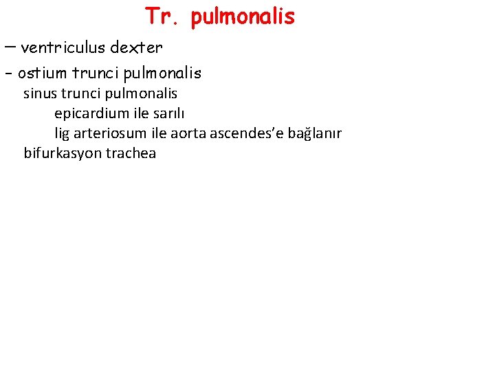 Tr. pulmonalis – ventriculus dexter – ostium trunci pulmonalis sinus trunci pulmonalis epicardium ile