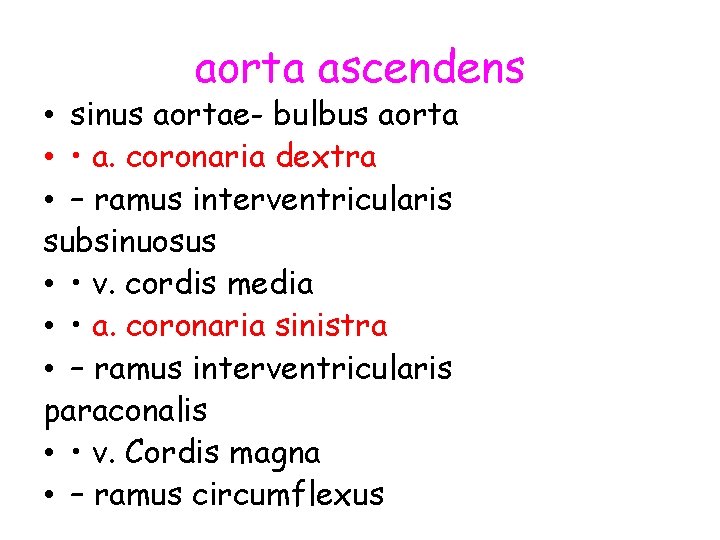 aorta ascendens • sinus aortae- bulbus aorta • • a. coronaria dextra • –
