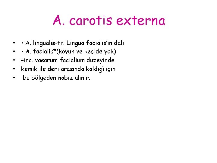 A. carotis externa • • • A. lingualis-tr. Lingua facialis’in dalı • A. facialis*(koyun