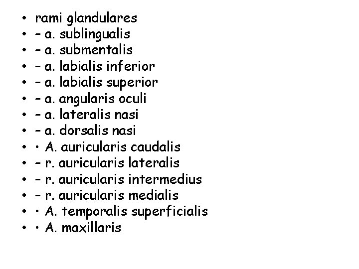  • • • • rami glandulares – a. sublingualis – a. submentalis –
