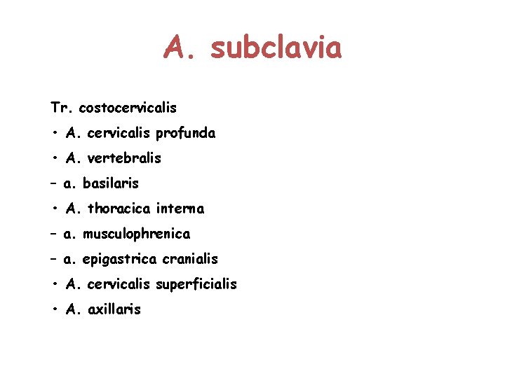 A. subclavia Tr. costocervicalis • A. cervicalis profunda • A. vertebralis – a. basilaris