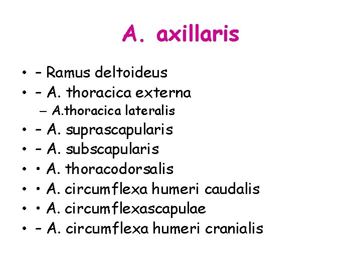 A. axillaris • – Ramus deltoideus • – A. thoracica externa – A. thoracica