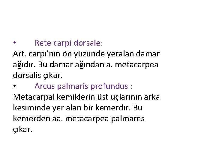  • Rete carpi dorsale: Art. carpi’nin ön yüzünde yeralan damar ağıdır. Bu damar