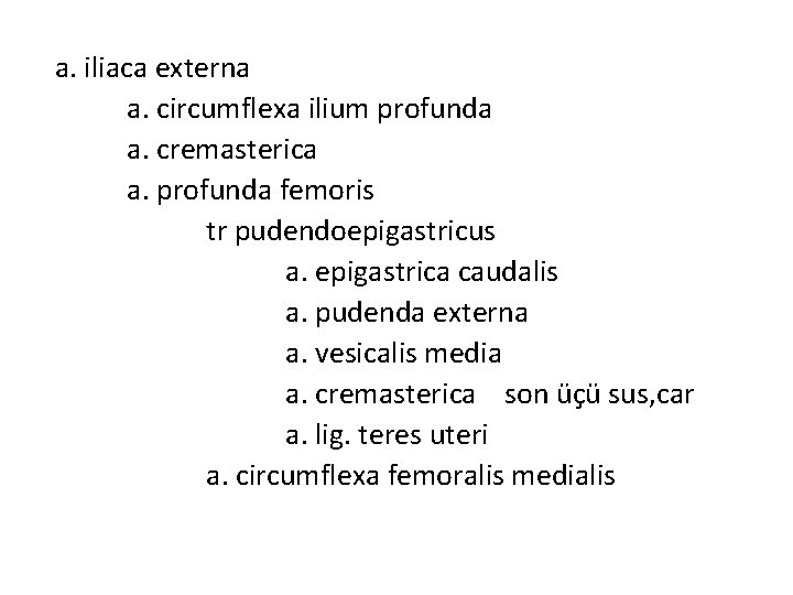 a. iliaca externa a. circumflexa ilium profunda a. cremasterica a. profunda femoris tr pudendoepigastricus