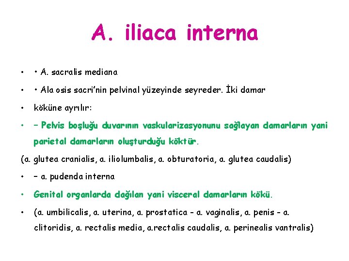 A. iliaca interna • • A. sacralis mediana • • Ala osis sacri’nin pelvinal