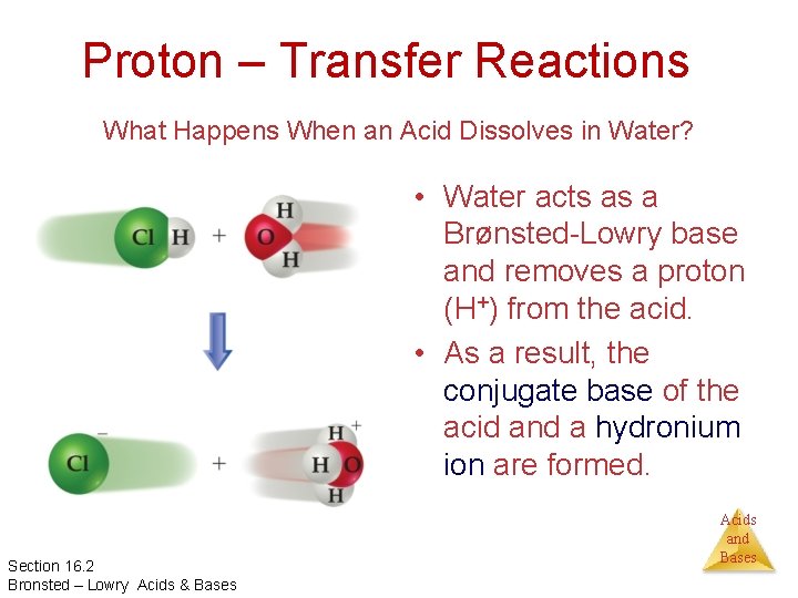 Proton – Transfer Reactions What Happens When an Acid Dissolves in Water? • Water