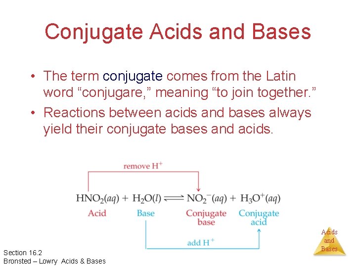 Conjugate Acids and Bases • The term conjugate comes from the Latin word “conjugare,
