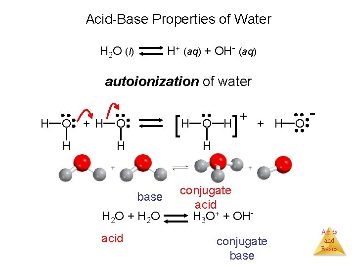 Acid-Base Properties of Water H+ (aq) + OH- (aq) H 2 O (l) autoionization