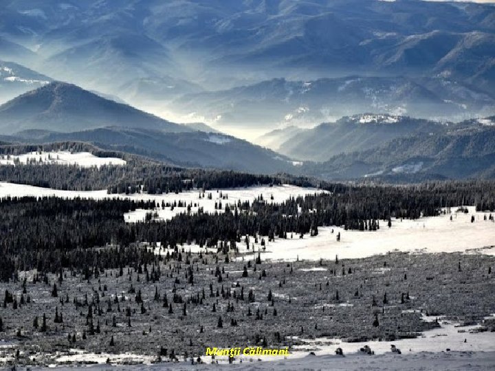 Munţii Călimani. 