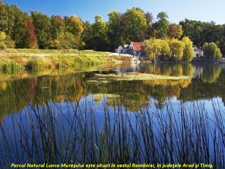 Parcul Natural Lunca Mureşului este situat în vestul României, în judeţele Arad şi Timiş.