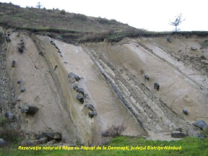 Rezervaţia naturală Râpa cu Păpuşi de la Domneşti, judeţul Bistriţa-Năsăud. 