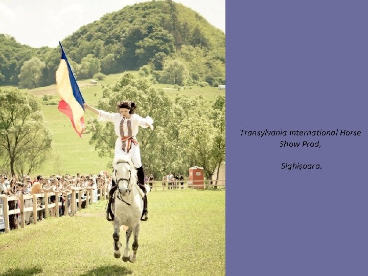 Transylvania International Horse Show Prod, Sighişoara. 