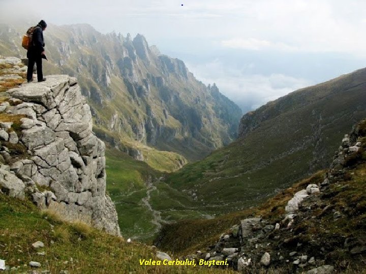 Valea Cerbului, Buşteni. 