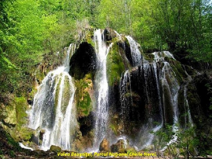 Valea Beuşniţei, Parcul Naţional Cheile Nerei. 