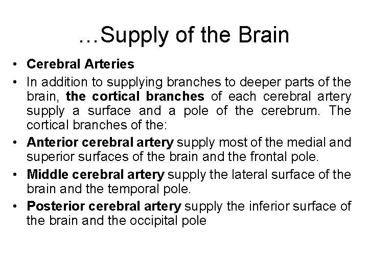 …Supply of the Brain • Cerebral Arteries • In addition to supplying branches to
