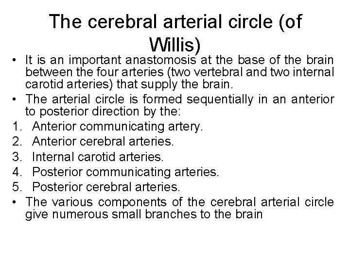 The cerebral arterial circle (of Willis) • It is an important anastomosis at the