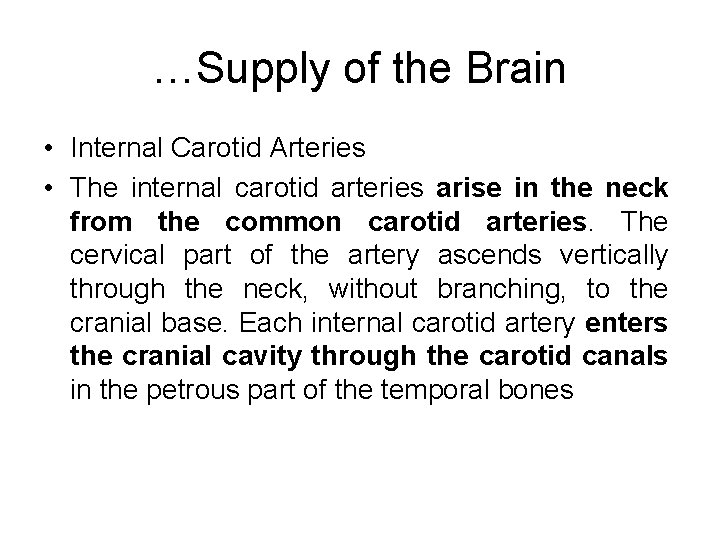 …Supply of the Brain • Internal Carotid Arteries • The internal carotid arteries arise