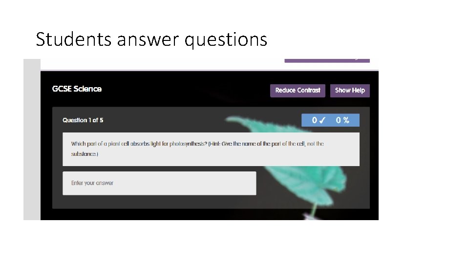 Students answer questions 