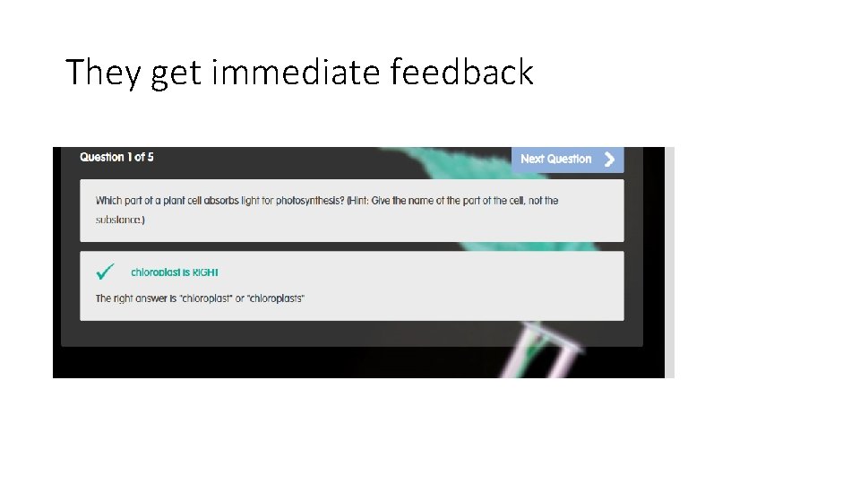 They get immediate feedback 