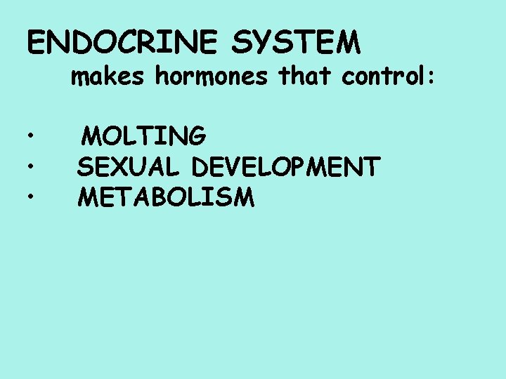 ENDOCRINE SYSTEM makes hormones that control: • • • MOLTING SEXUAL DEVELOPMENT METABOLISM 