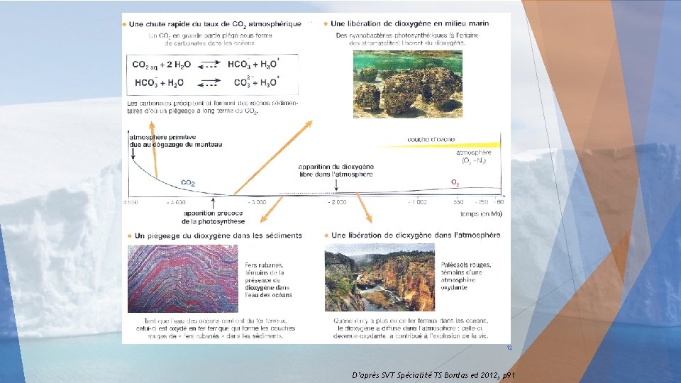 12 D’après SVT Spécialité TS Bordas ed 2012, p 91 