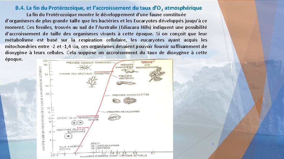 B. 4. La fin du Protérozoïque, et l’accroissement du taux d’O 2 atmosphérique La