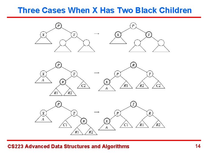 Three Cases When X Has Two Black Children CS 223 Advanced Data Structures and