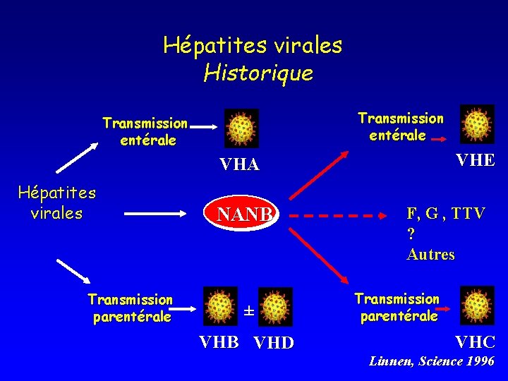Hépatites virales Historique Transmission entérale VHE VHA Hépatites virales Transmission parentérale NANB ± VHB