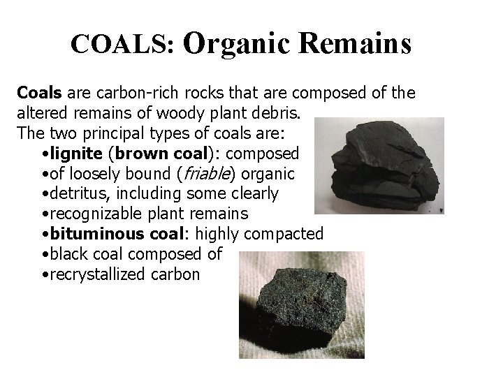 COALS: Organic Remains Coals are carbon-rich rocks that are composed of the altered remains COALS: Organic Remains Coals are carbon-rich rocks that are composed of the altered remains