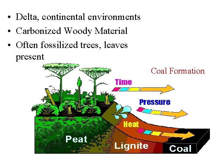 • Delta, continental environments • Carbonized Woody Material • Often fossilized trees, leaves • Delta, continental environments • Carbonized Woody Material • Often fossilized trees, leaves
