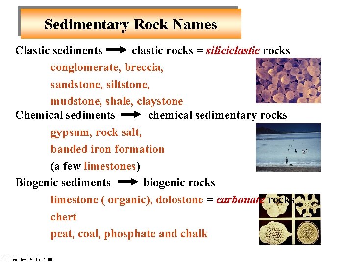 Sedimentary Rock Names Clastic sediments clastic rocks = siliciclastic rocks conglomerate, breccia, sandstone, siltstone, Sedimentary Rock Names Clastic sediments clastic rocks = siliciclastic rocks conglomerate, breccia, sandstone, siltstone,