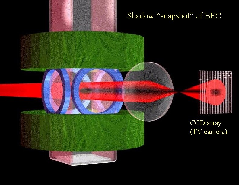 Shadow “snapshot” of BEC CCD array (TV camera) 
