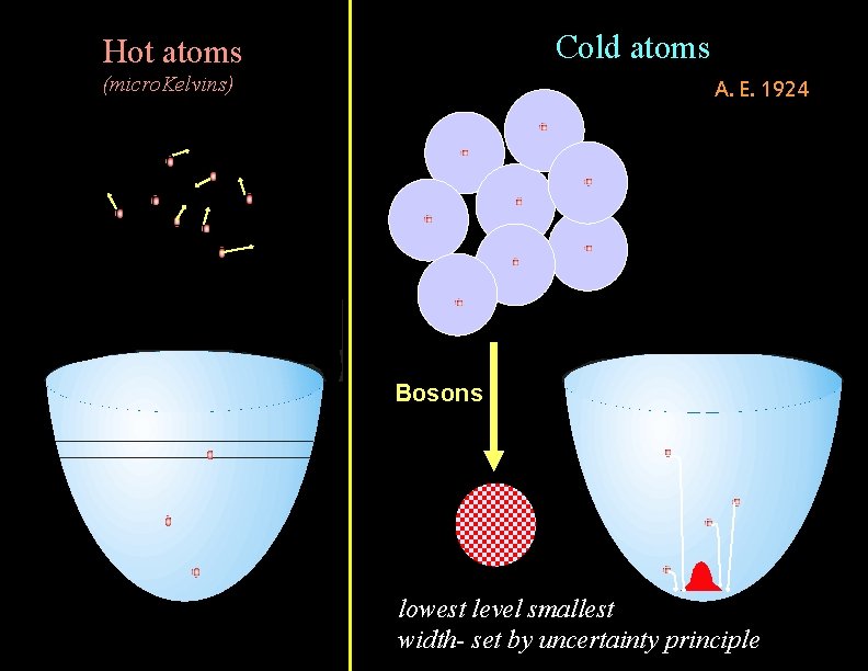 Cold atoms Hot atoms (micro. Kelvins) A. E. 1924 Bosons lowest level smallest width-