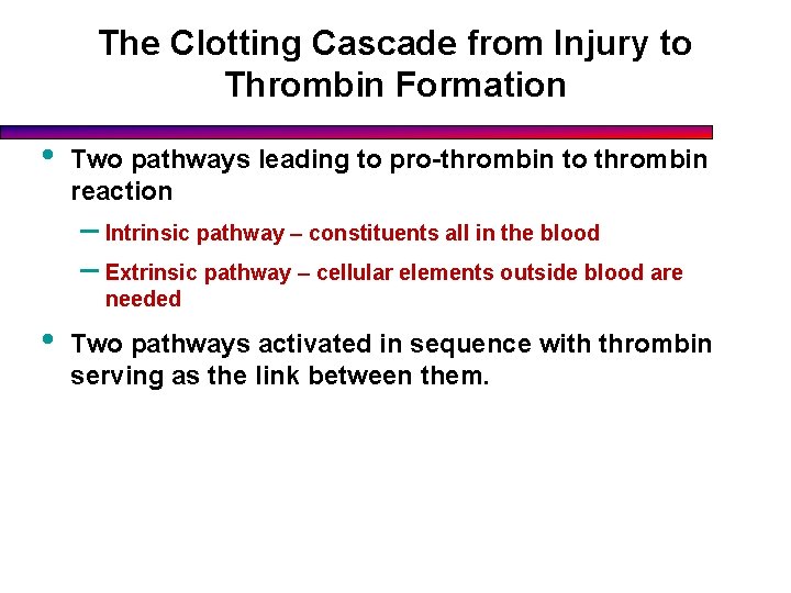 The Clotting Cascade from Injury to Thrombin Formation • Two pathways leading to pro-thrombin