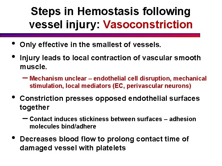 Steps in Hemostasis following vessel injury: Vasoconstriction • • Only effective in the smallest