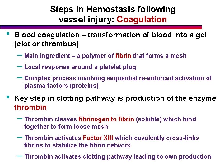 Steps in Hemostasis following vessel injury: Coagulation • Blood coagulation – transformation of blood