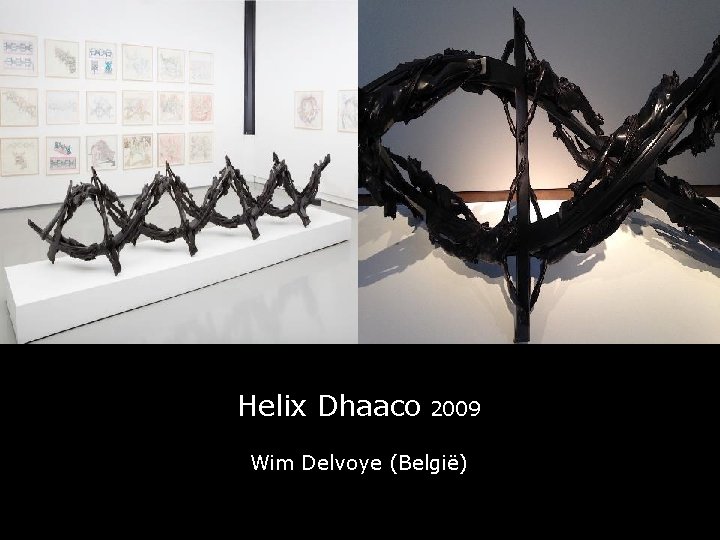 Helix Dhaaco 2009 Wim Delvoye (België) 