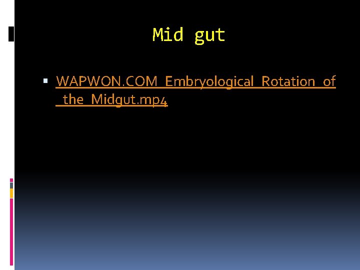 Mid gut WAPWON. COM_Embryological_Rotation_of _the_Midgut. mp 4 