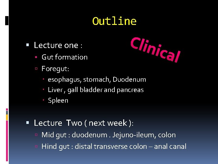 Outline Lecture one : • Gut formation Clin Foregut: esophagus, stomach, Duodenum Liver ,