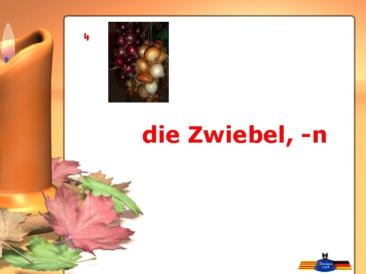 die Zwiebel, -n 