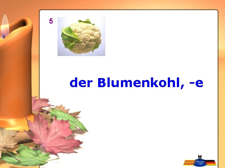 5 der Blumenkohl, -e 