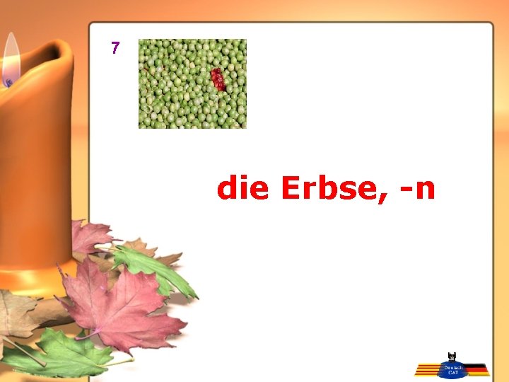 7 die Erbse, -n 