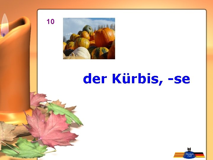 10 der Kürbis, -se 