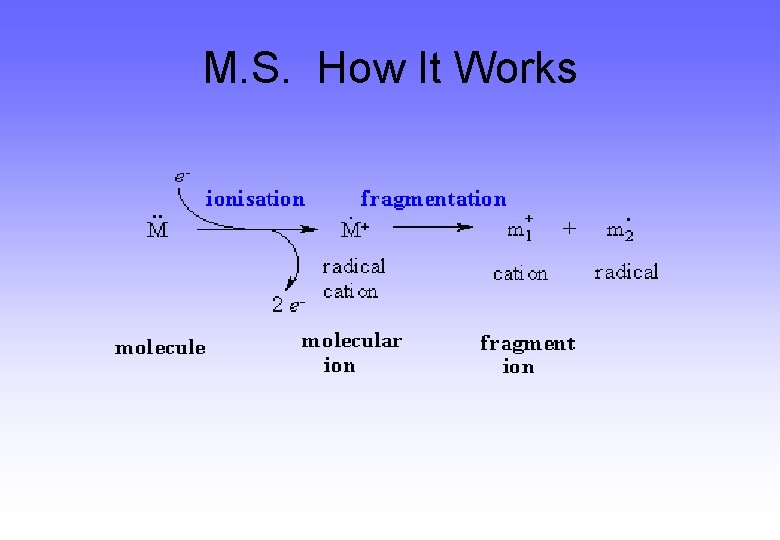 M. S. How It Works M. S. How It Works