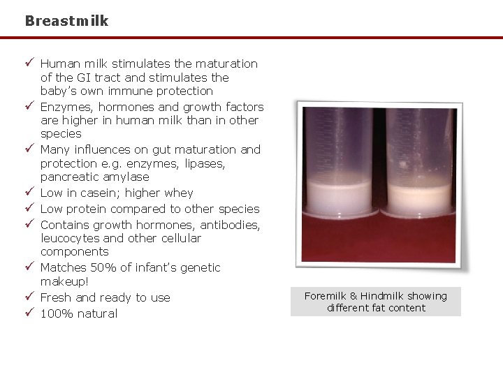 Breastmilk ü Human milk stimulates the maturation ü ü ü ü of the GI Breastmilk ü Human milk stimulates the maturation ü ü ü ü of the GI